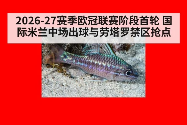 2026-27赛季欧冠联赛阶段首轮 国际米兰中场出球与劳塔罗禁区抢点