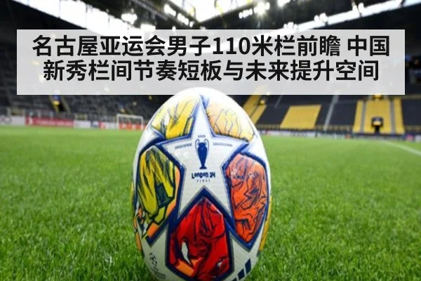 名古屋亚运会男子110米栏前瞻 中国新秀栏间节奏短板与未来提升空间